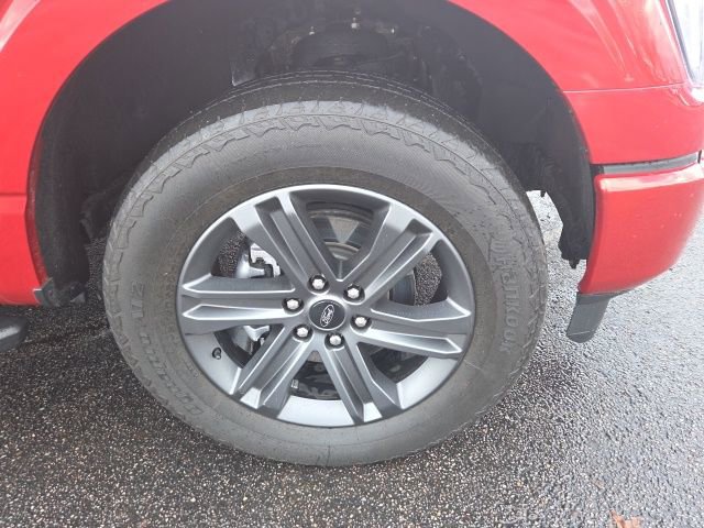 Certified 2023 Ford F150 XLT w/ Equipment Group 302A High image 2