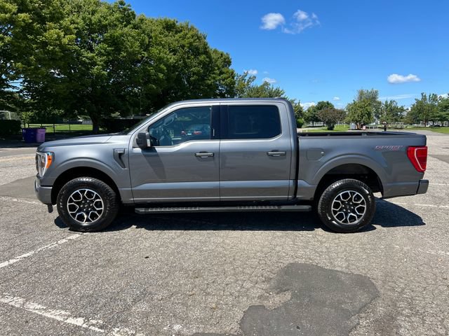 Certified 2023 Ford F150 XLT w/ Equipment Group 302A High AWD/4WD image 6