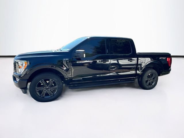 Certified 2023 Ford F150 XLT w/ Equipment Group 302A High AWD/4WD image 4