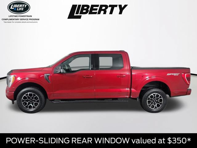Certified 2021 Ford F150 XLT w/ Equipment Group 302A High AWD/4WD image 7