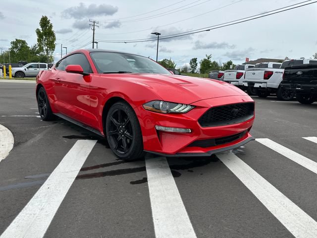 Certified 2019 Ford Mustang Coupe w/ Equipment Group 101A RWD image 7