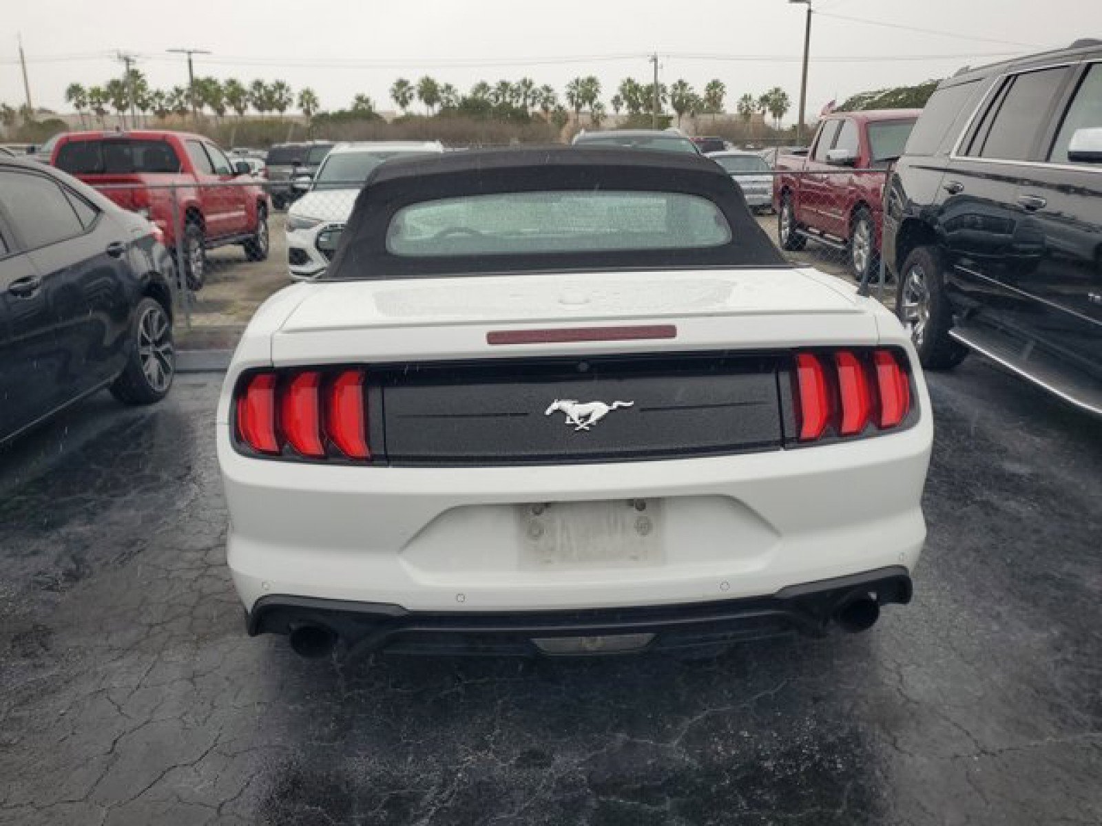 Certified 2019 Ford Mustang Premium image 3