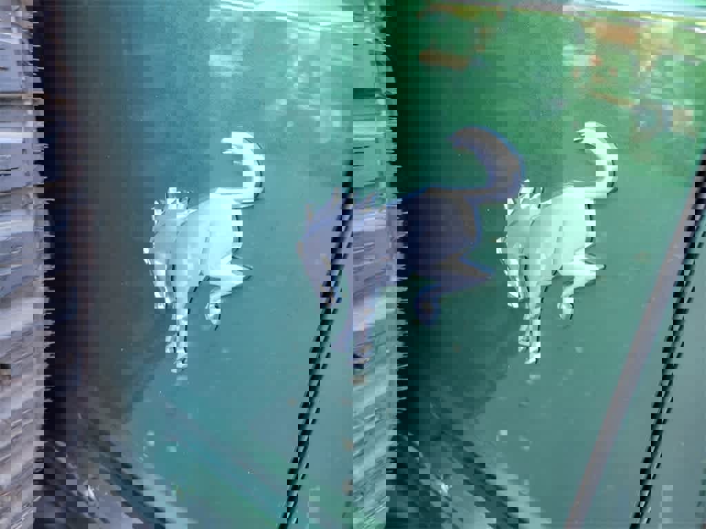 Certified 2023 Ford Bronco Badlands image 10