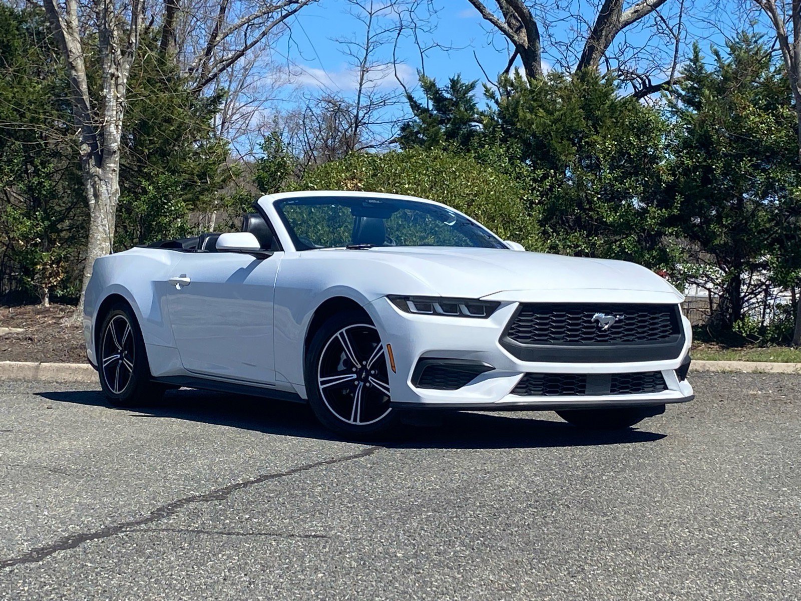 Certified 2024 Ford Mustang Premium image 2