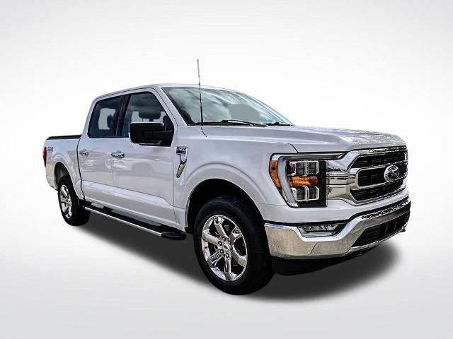 Certified 2023 Ford F150 XLT w/ Equipment Group 302A High AWD/4WD image 8