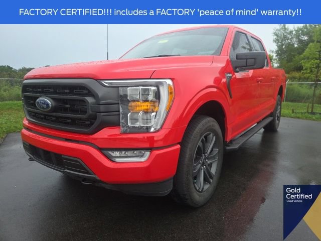 Certified 2023 Ford F150 XLT w/ Equipment Group 302A High AWD/4WD image 2