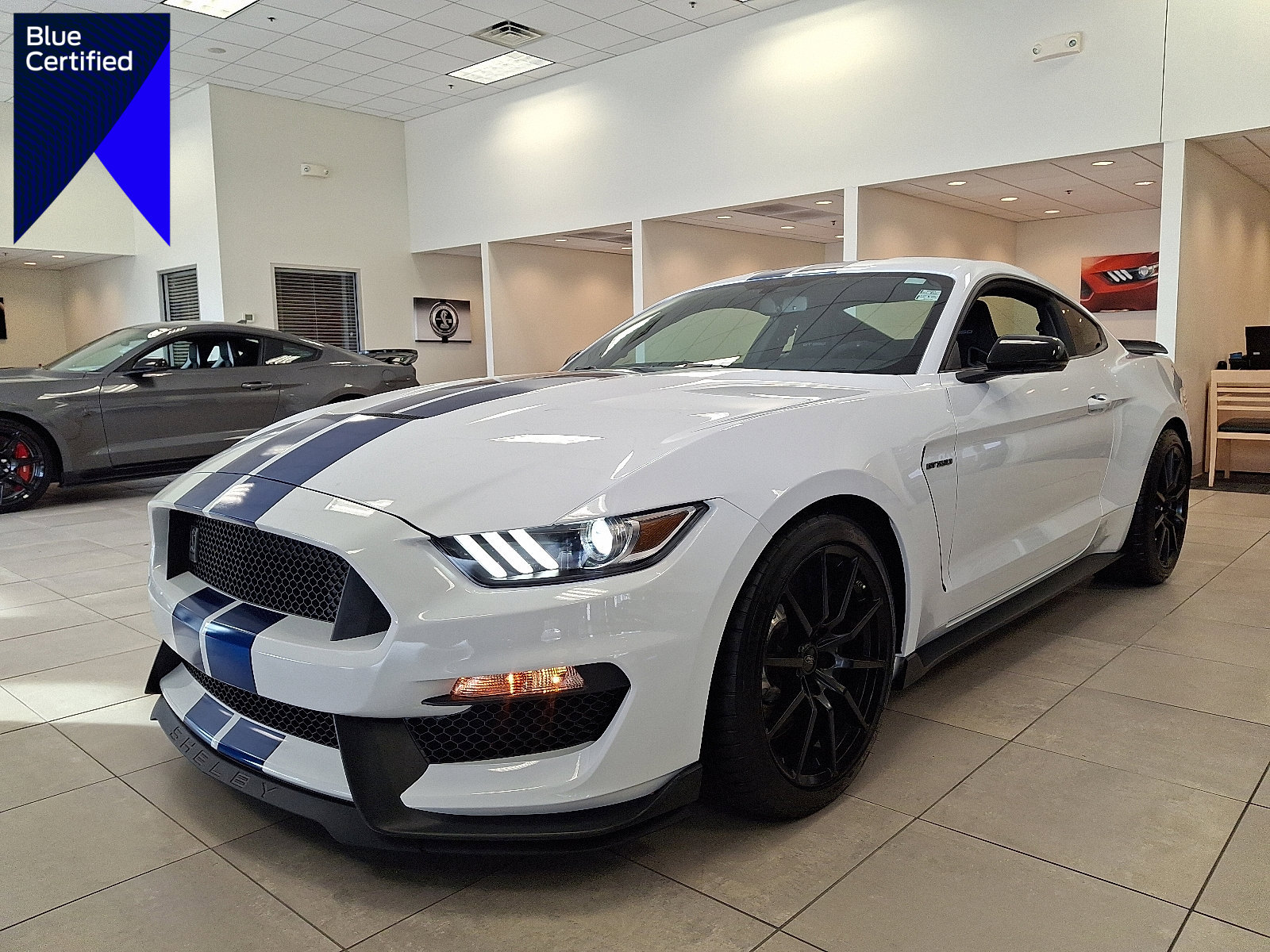Certified 2017 Ford Mustang Shelby GT350 w/ Electronics Package
