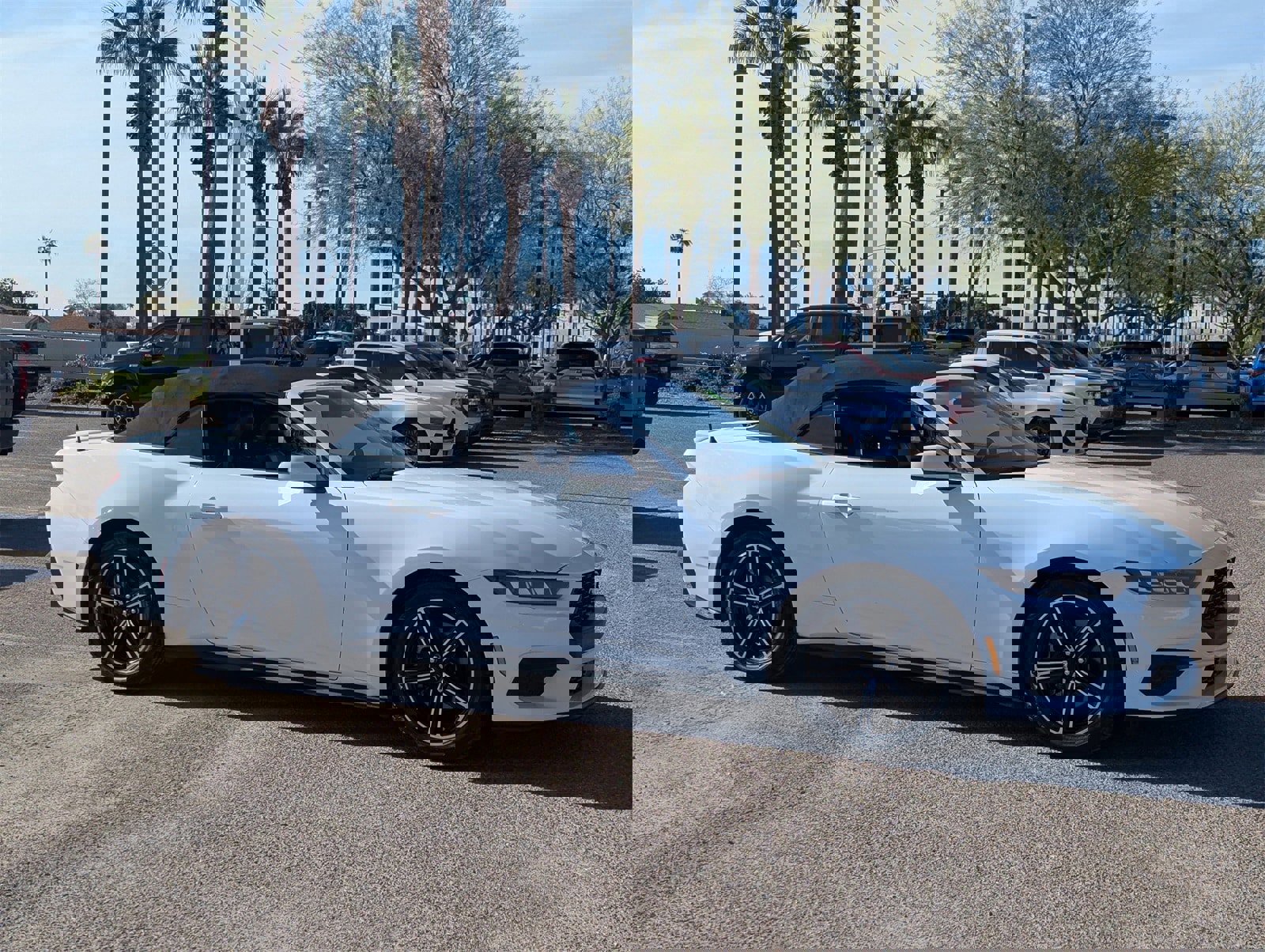 Certified 2024 Ford Mustang Premium image 7