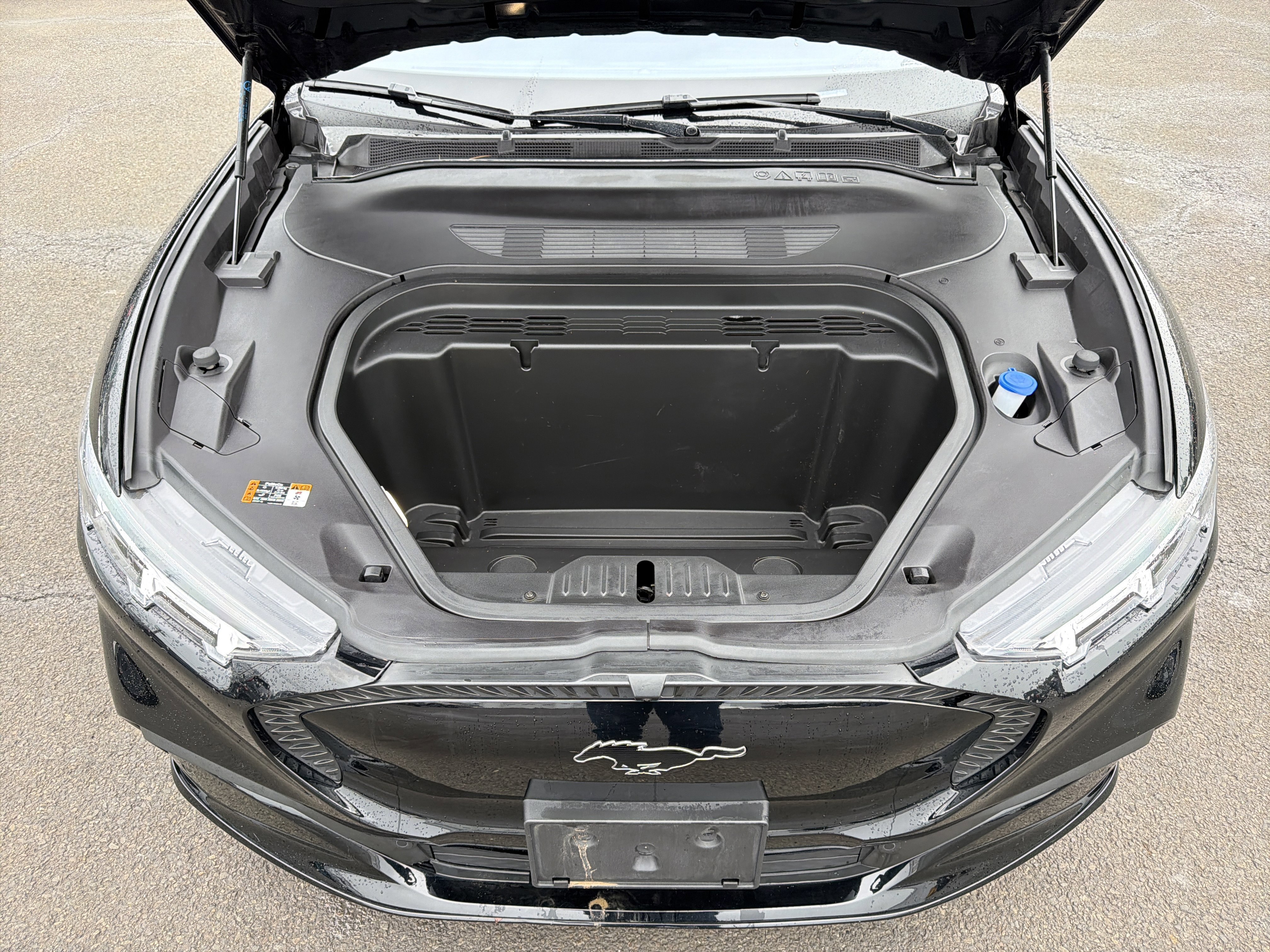 Certified 2023 Ford Mustang Mach-E California Route 1 image 11