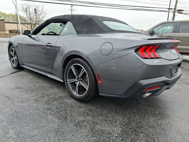 Certified 2024 Ford Mustang Premium image 3