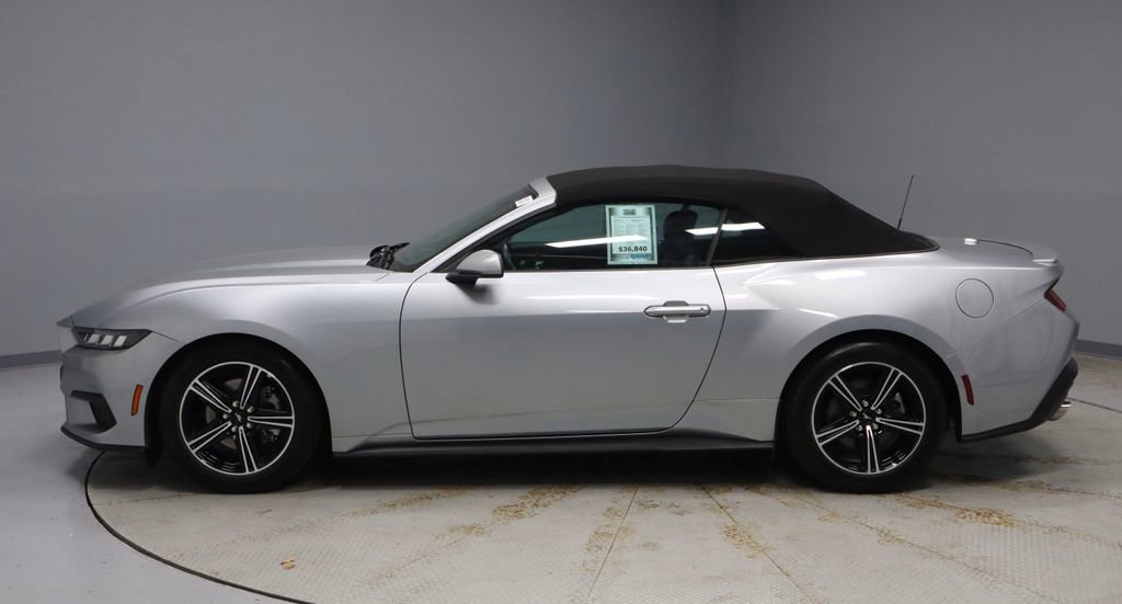 Certified 2025 Ford Mustang Premium RWD image 2