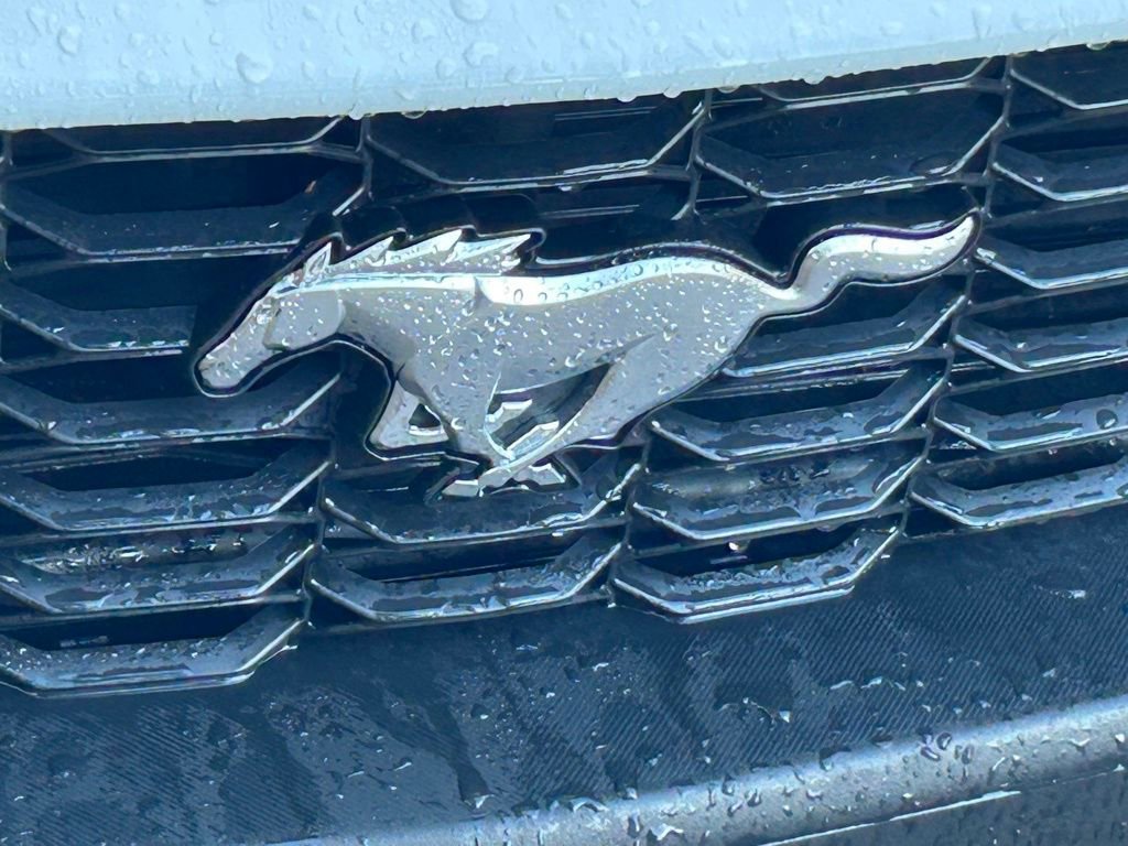 Certified 2024 Ford Mustang Premium RWD image 19