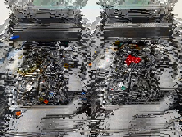 Certified 2022 Ford Maverick XLT w/ Equipment Group 300A Standard image 10