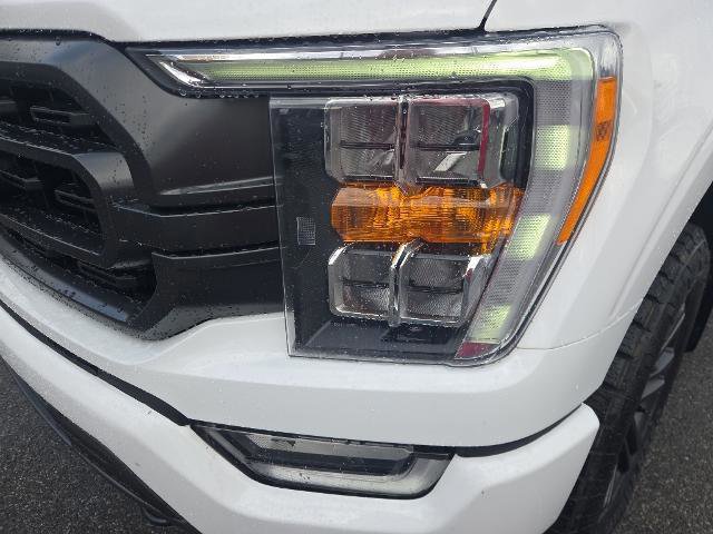 Certified 2022 Ford F150 XLT w/ Equipment Group 302A High image 6