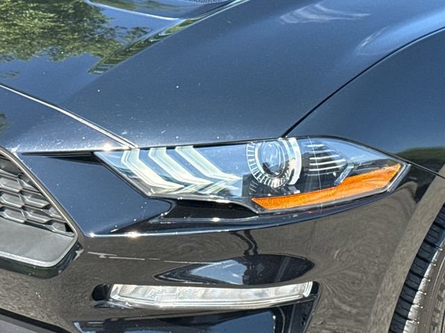 Certified 2023 Ford Mustang Premium w/ Equipment Group 201A image 4