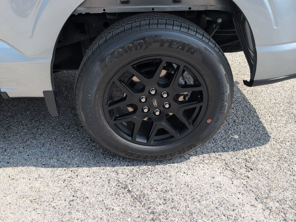 Certified 2024 Ford F150 STX w/ STX Black Appearance Package image 13