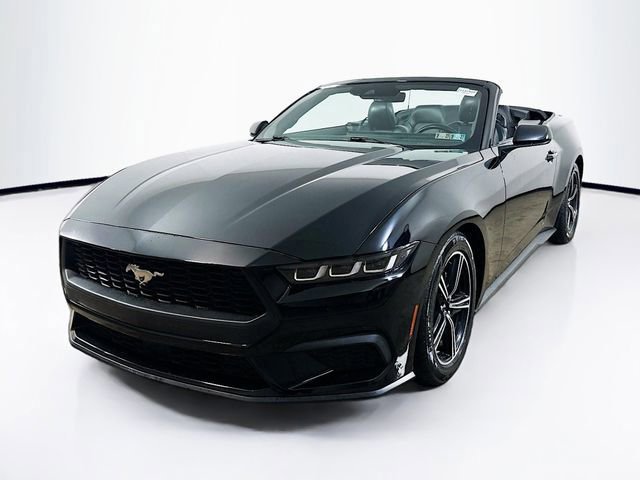 Certified 2024 Ford Mustang Premium image 2