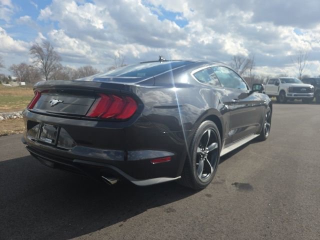 Certified 2023 Ford Mustang EcoBoost w/ Equipment Group 101A image 4