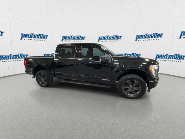 Certified 2023 Ford F150 XLT w/ Equipment Group 302A High AWD/4WD image 13