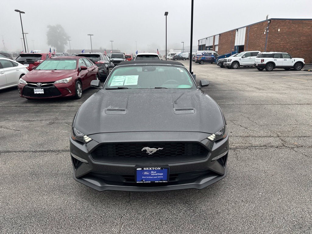 Certified 2019 Ford Mustang Convertible w/ Ecoboost Performance Package RWD image 2