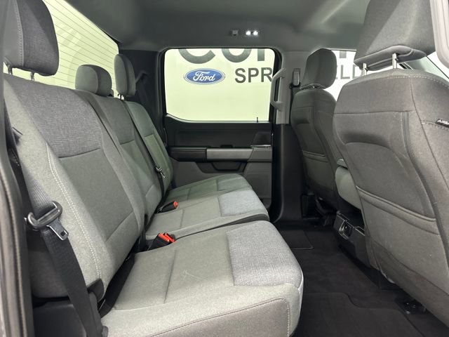 Certified 2025 Ford F150 XLT w/ Equipment Group 301A Standard image 14