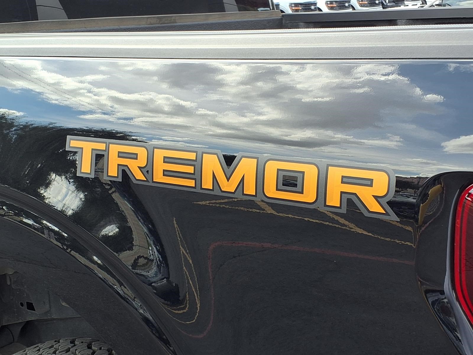 Certified 2025 Ford F150 Tremor AWD/4WD image 11