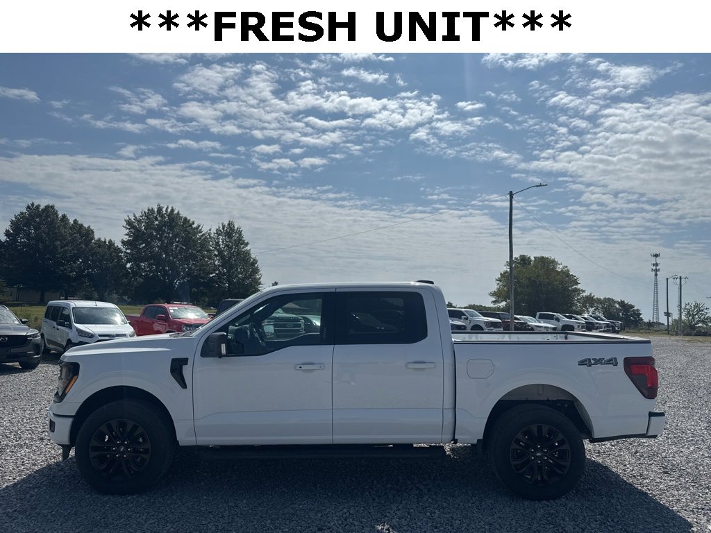 Certified 2024 Ford F150 XLT w/ Equipment Group 302A MID