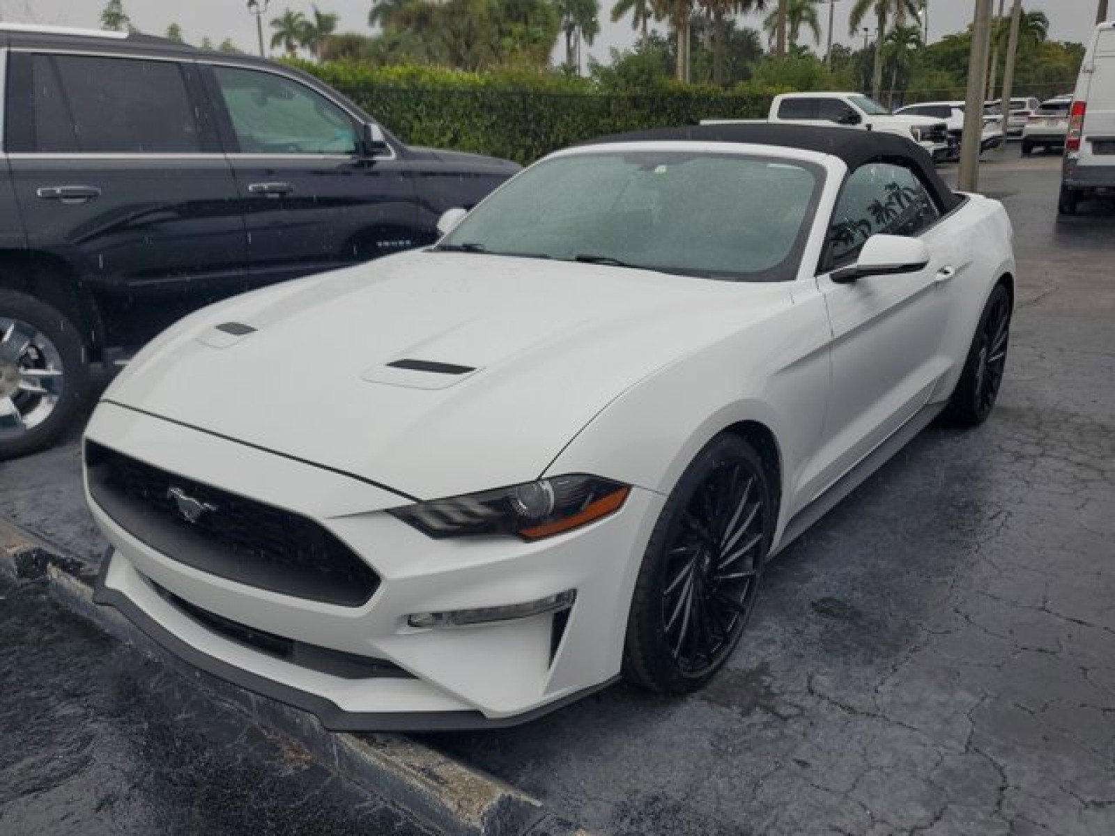 Certified 2019 Ford Mustang Premium video 2