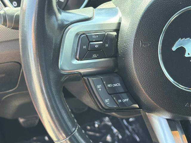 Certified 2021 Ford Mustang GT w/ Equipment Group 301A RWD image 15