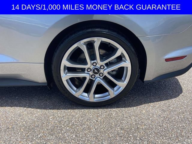 Certified 2021 Ford Mustang GT Premium w/ Ford Safe & Smart Package RWD image 7