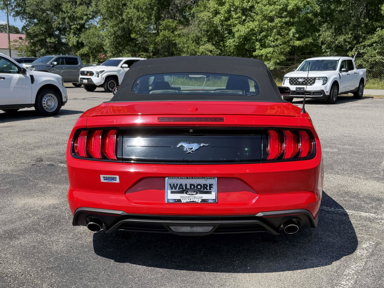 Certified 2020 Ford Mustang Premium RWD image 3