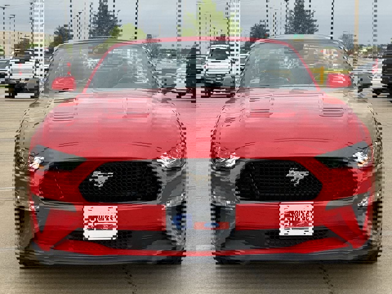 Certified 2022 Ford Mustang GT Premium image 10