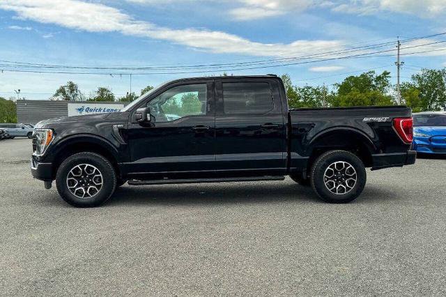 Certified 2023 Ford F150 XLT w/ Equipment Group 302A High AWD/4WD image 6