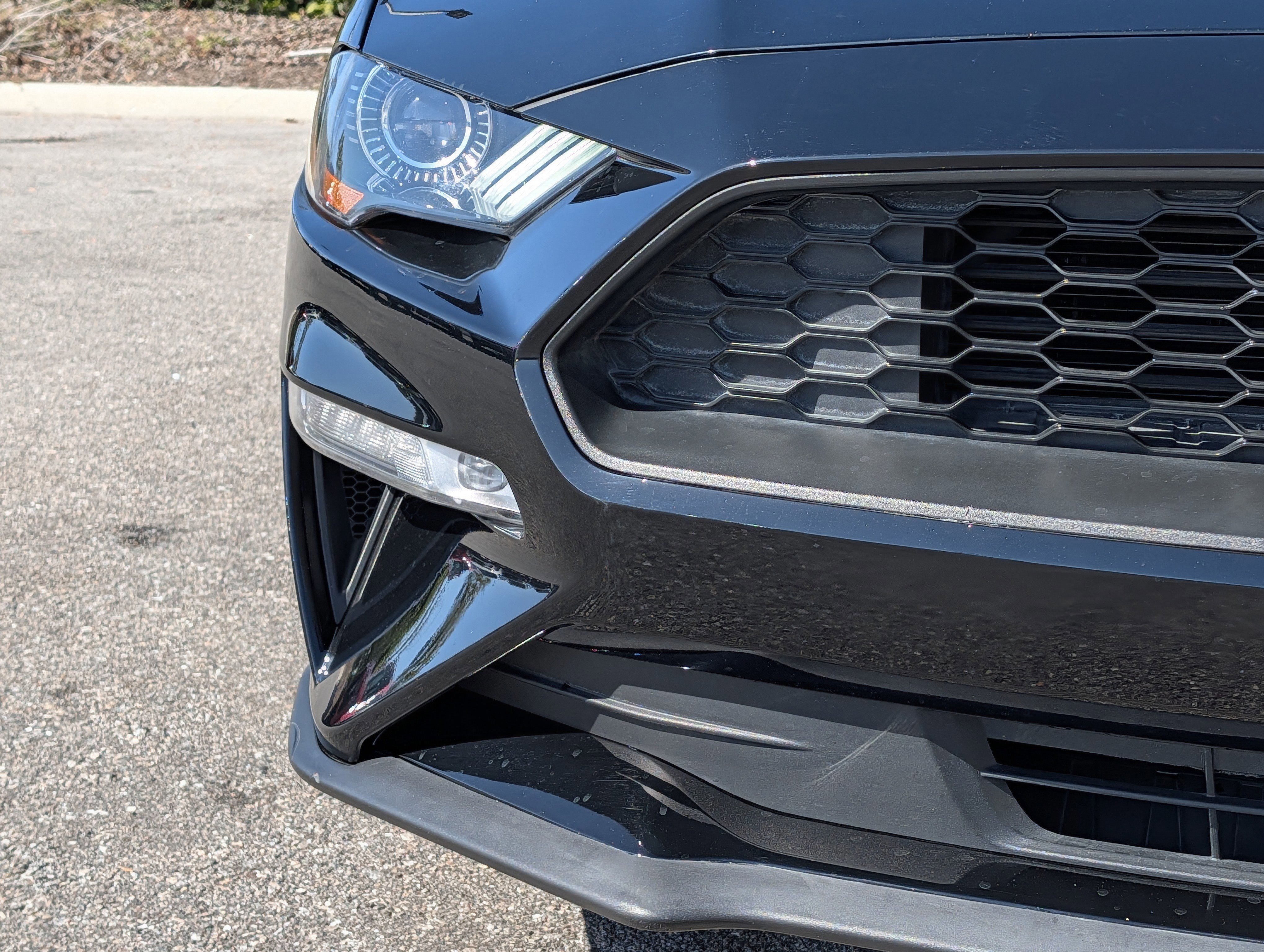 Certified 2020 Ford Mustang Premium image 9