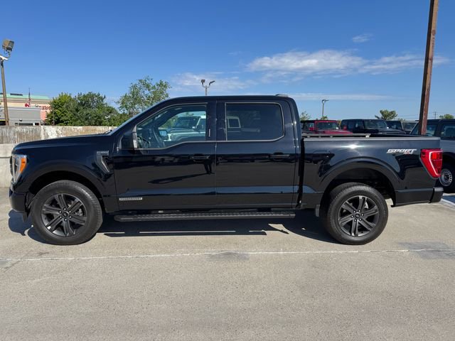 Certified 2023 Ford F150 XLT w/ Equipment Group 302A High AWD/4WD image 10