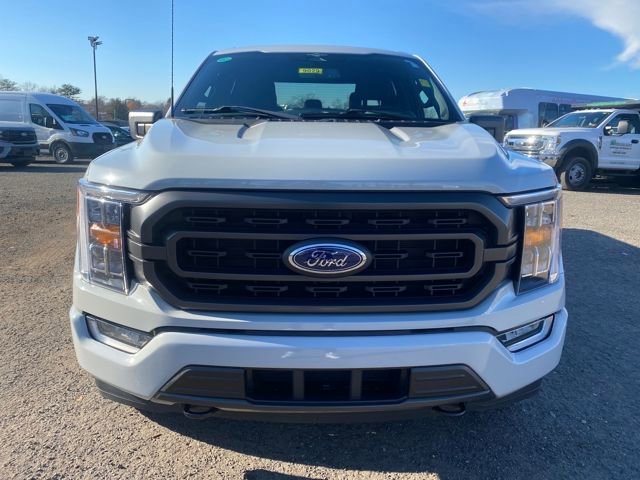 Certified 2023 Ford F150 XLT w/ Equipment Group 302A High image 9