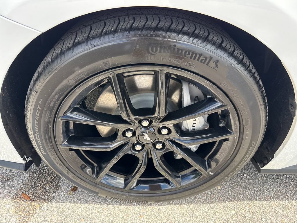 Certified 2025 Ford Mustang GT Premium w/ Mustang Nite Pony Package image 12