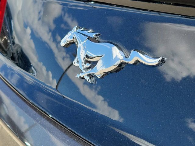 Certified 2017 Ford Mustang Premium w/ Equipment Group 201A image 10