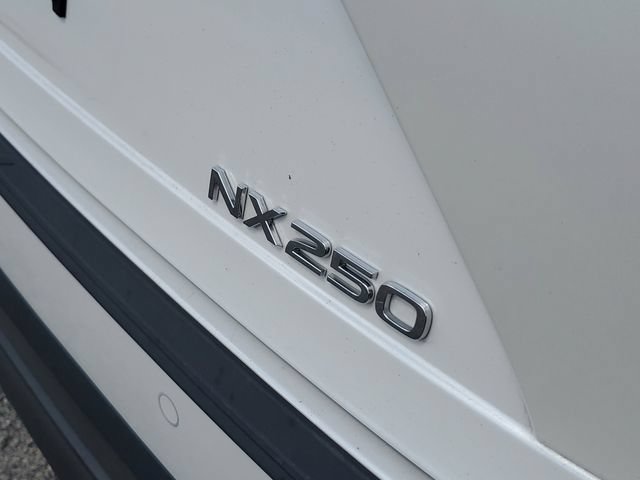 Used 2024 Lexus NX 250 FWD image 7