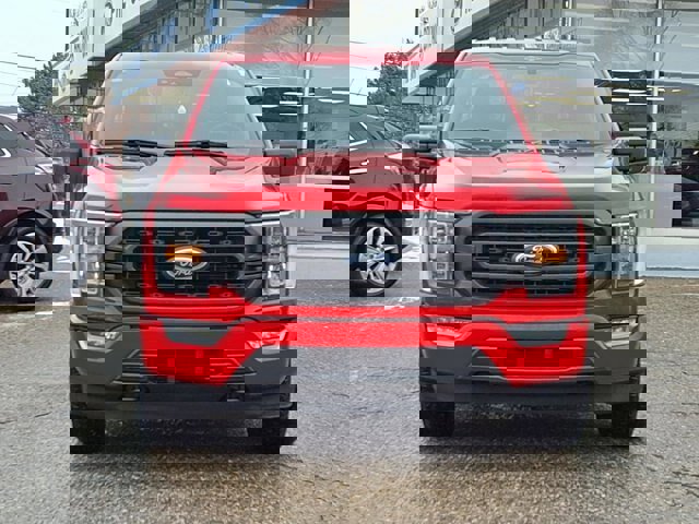 Certified 2023 Ford F150 XLT w/ Equipment Group 302A High image 4