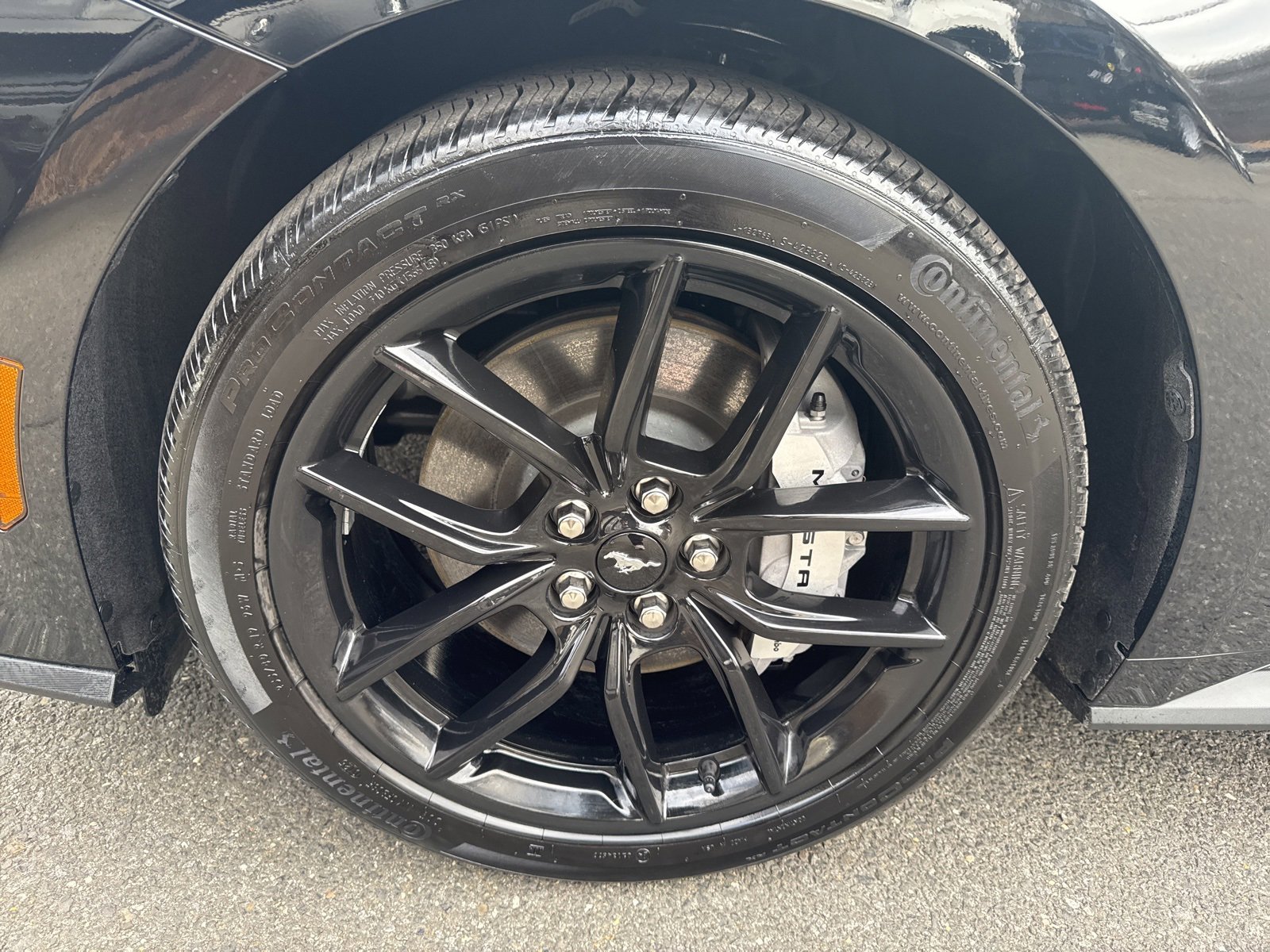 Certified 2025 Ford Mustang GT Premium w/ Mustang Nite Pony Package image 26