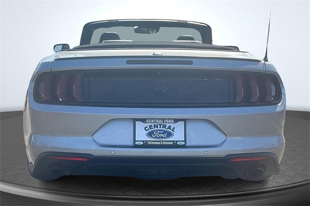 Certified 2022 Ford Mustang Premium image 3