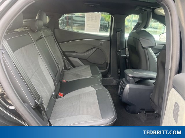 Certified 2025 Ford Mustang Mach-E GT image 19