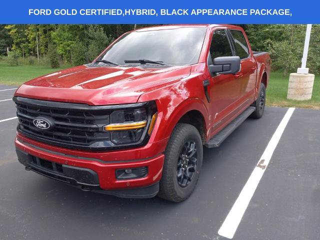 Certified 2024 Ford F150 XLT w/ Equipment Group 302A MID AWD/4WD image 1