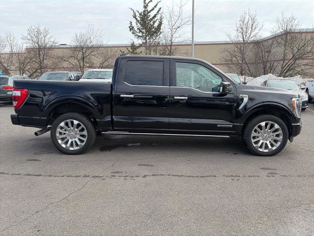 Certified 2023 Ford F150 Limited image 7