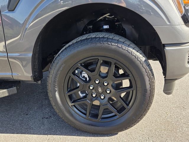 Certified 2025 Ford F150 STX w/ STX Black Appearance Package image 12