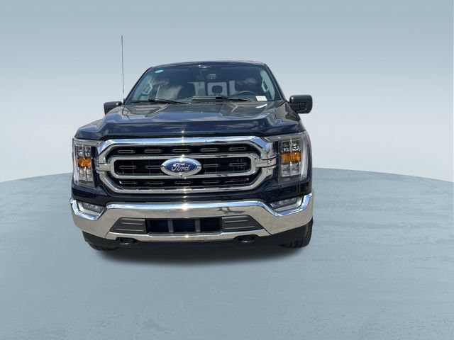 Certified 2023 Ford F150 XLT w/ Equipment Group 302A High AWD/4WD image 10