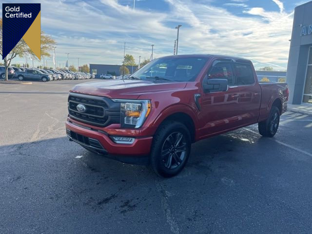 Certified 2023 Ford F150 XLT w/ Equipment Group 302A High