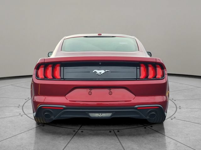 Certified 2019 Ford Mustang Coupe RWD image 11