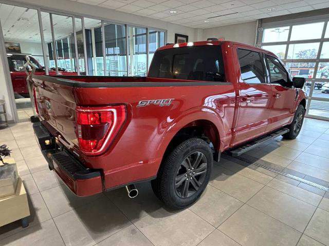 Certified 2023 Ford F150 XLT w/ Equipment Group 302A High image 5